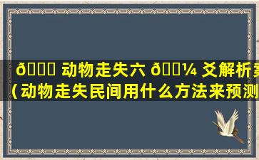 🐟 动物走失六 🌼 爻解析案例（动物走失民间用什么方法来预测它的去向）